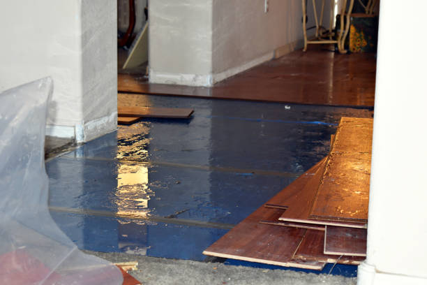 Professional Flood Damage Repair technician working in Anson, TX